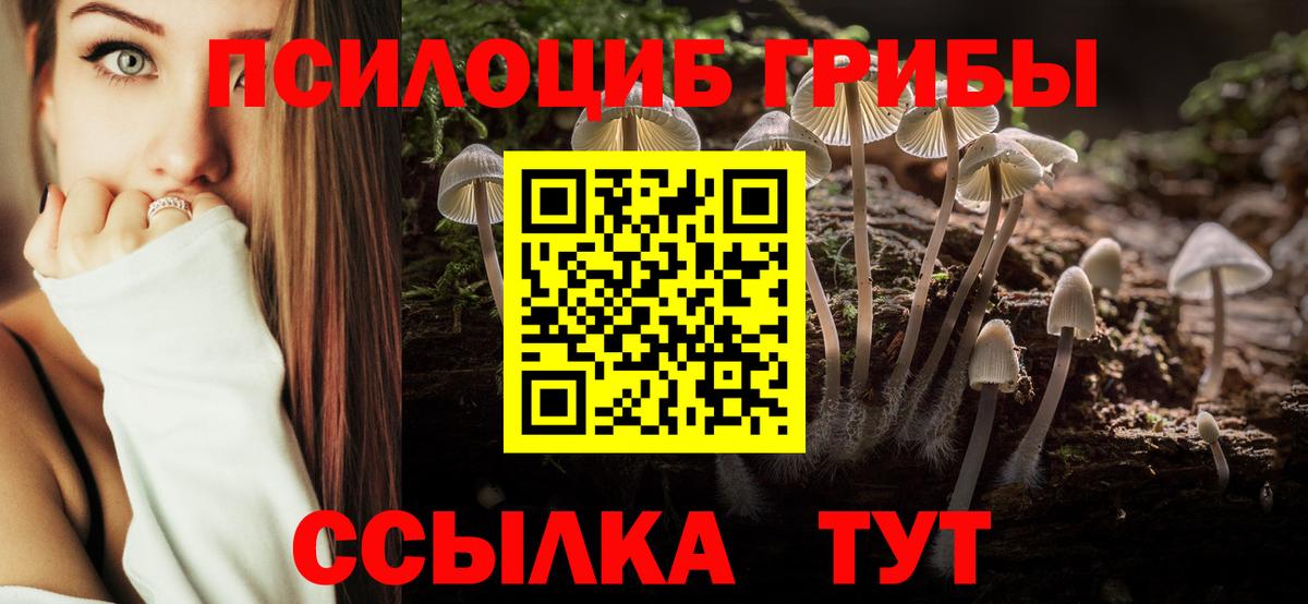 Галлюциногенные грибы MAGIC MUSHROOMS Сафоново