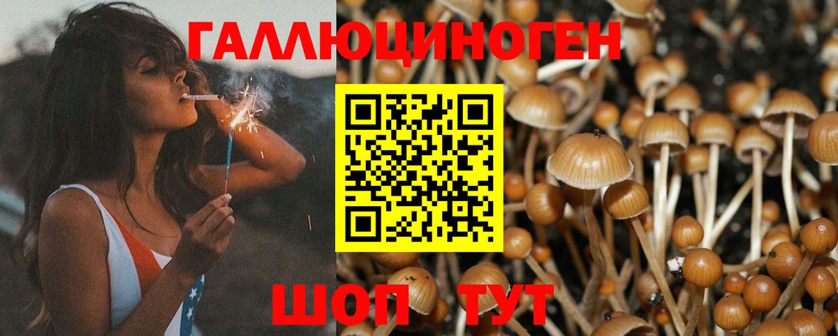Сафоново  Псилоцибиновые грибы Psilocybe  Вход с VPN 